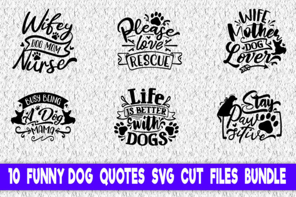 Funny Dog Quotes Bundle: A Designer’s Stitch Review
